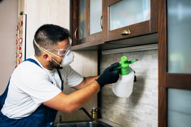 Best Best Pest Control Companies  in Grissom Af, IN