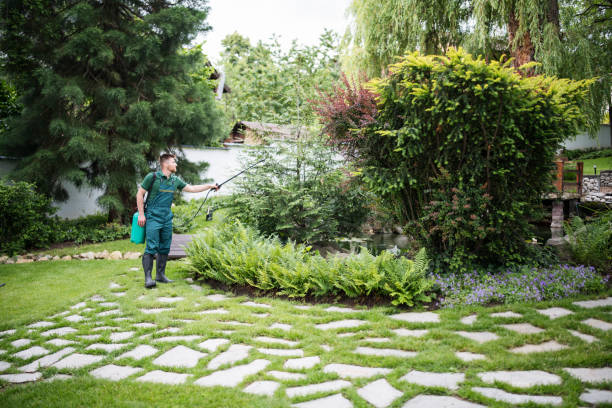 Trusted Grissom Af, IN Pest Control Experts