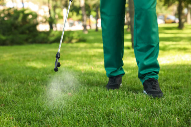 Best Emergency Pest Control  in Grissom Af, IN