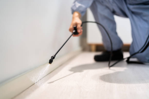 Best Termite Control Services  in Grissom Af, IN
