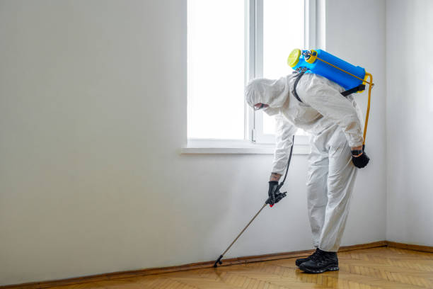 Best Pest Prevention Services  in Grissom Af, IN