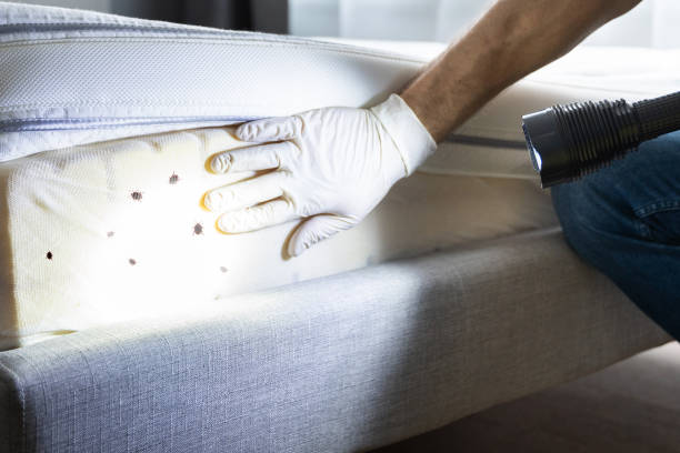 Best Residential Pest Control  in Grissom Af, IN