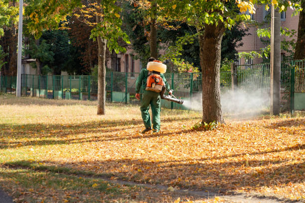 Wasp Removal Services in Grissom Af, IN