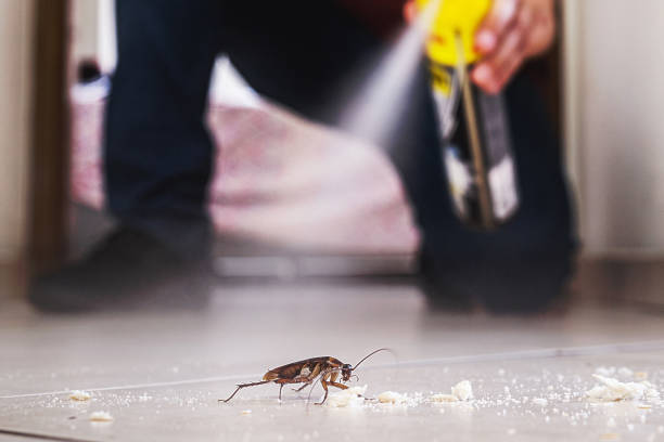 Best Ant Control Services  in Grissom Af, IN