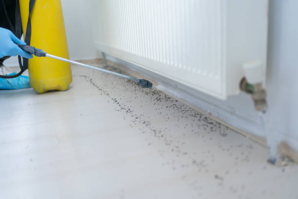 Best Wildlife Control Services  in Grissom Af, IN