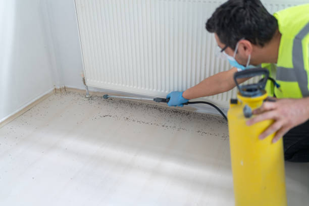 Best Local Pest Control Services  in Grissom Af, IN