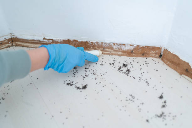 Best Affordable Pest Control Services  in Grissom Af, IN